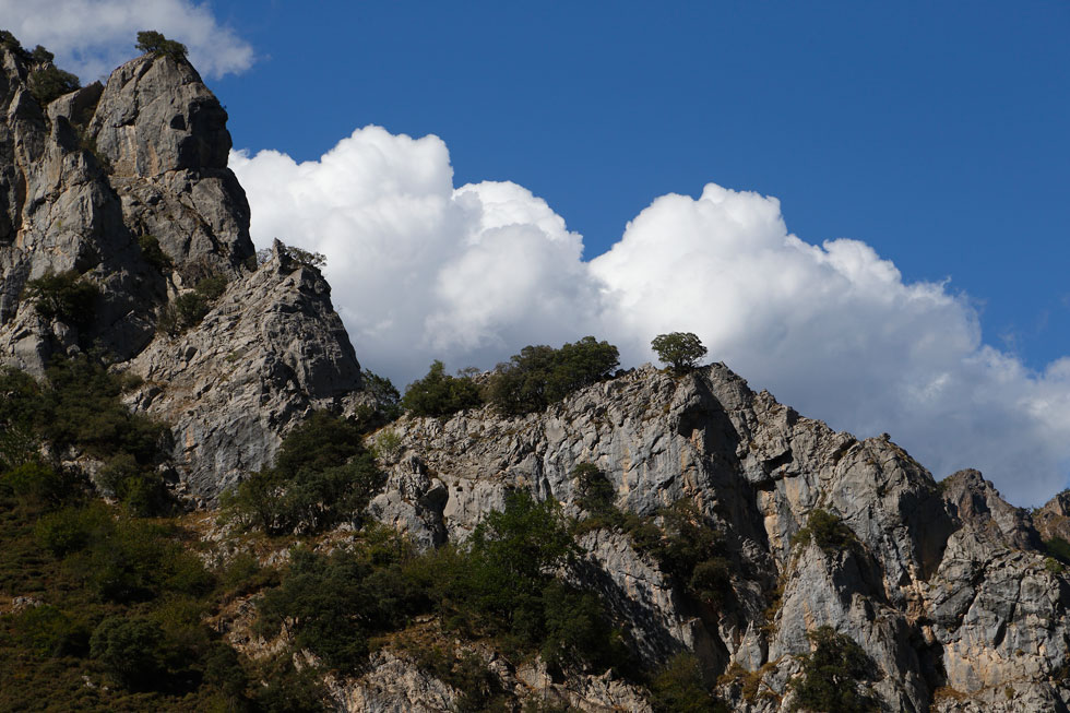 Imagen 28 de la galería de Picos de Europa